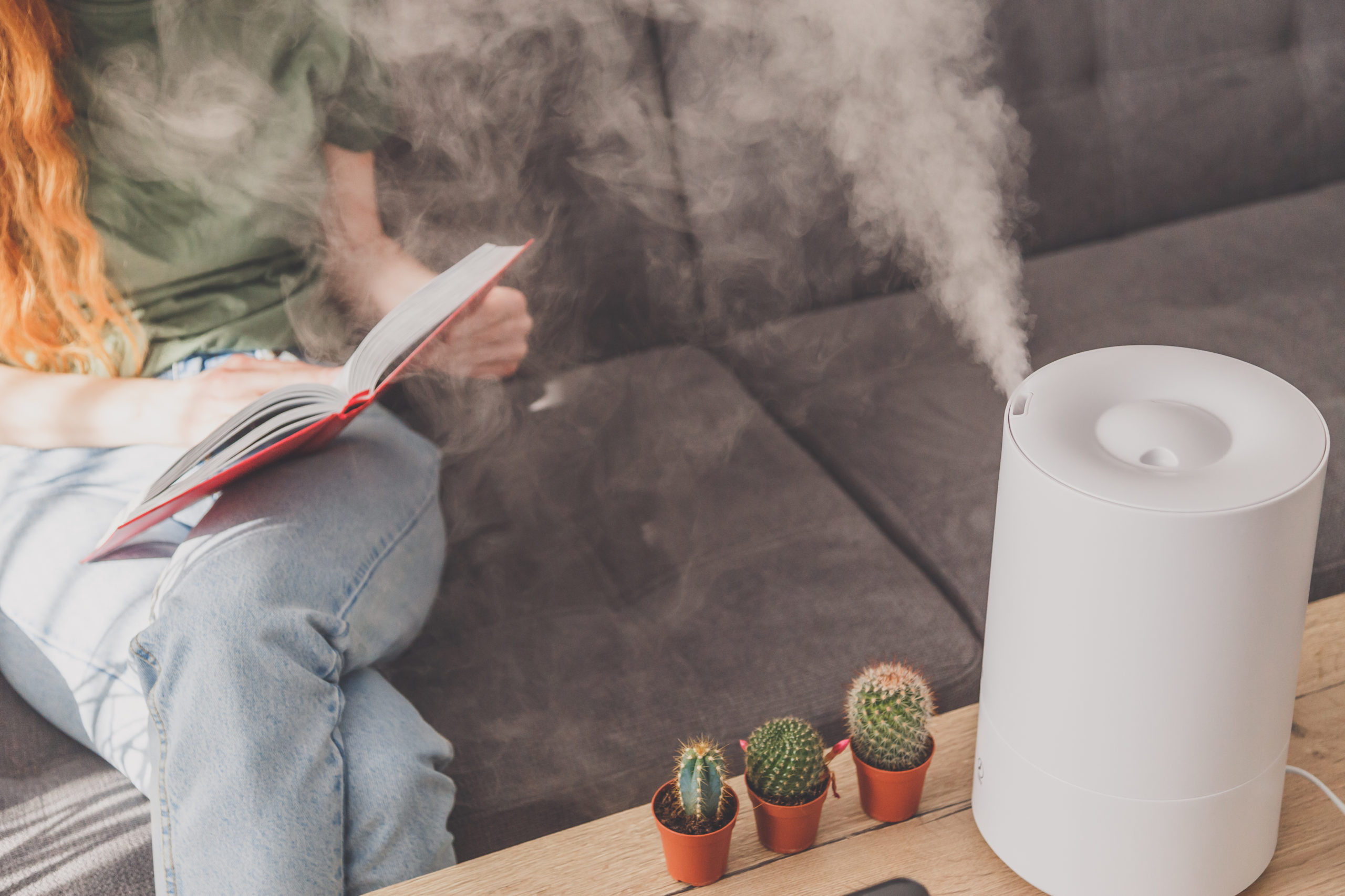 Household humidifier at home on table near woman reading on sofa