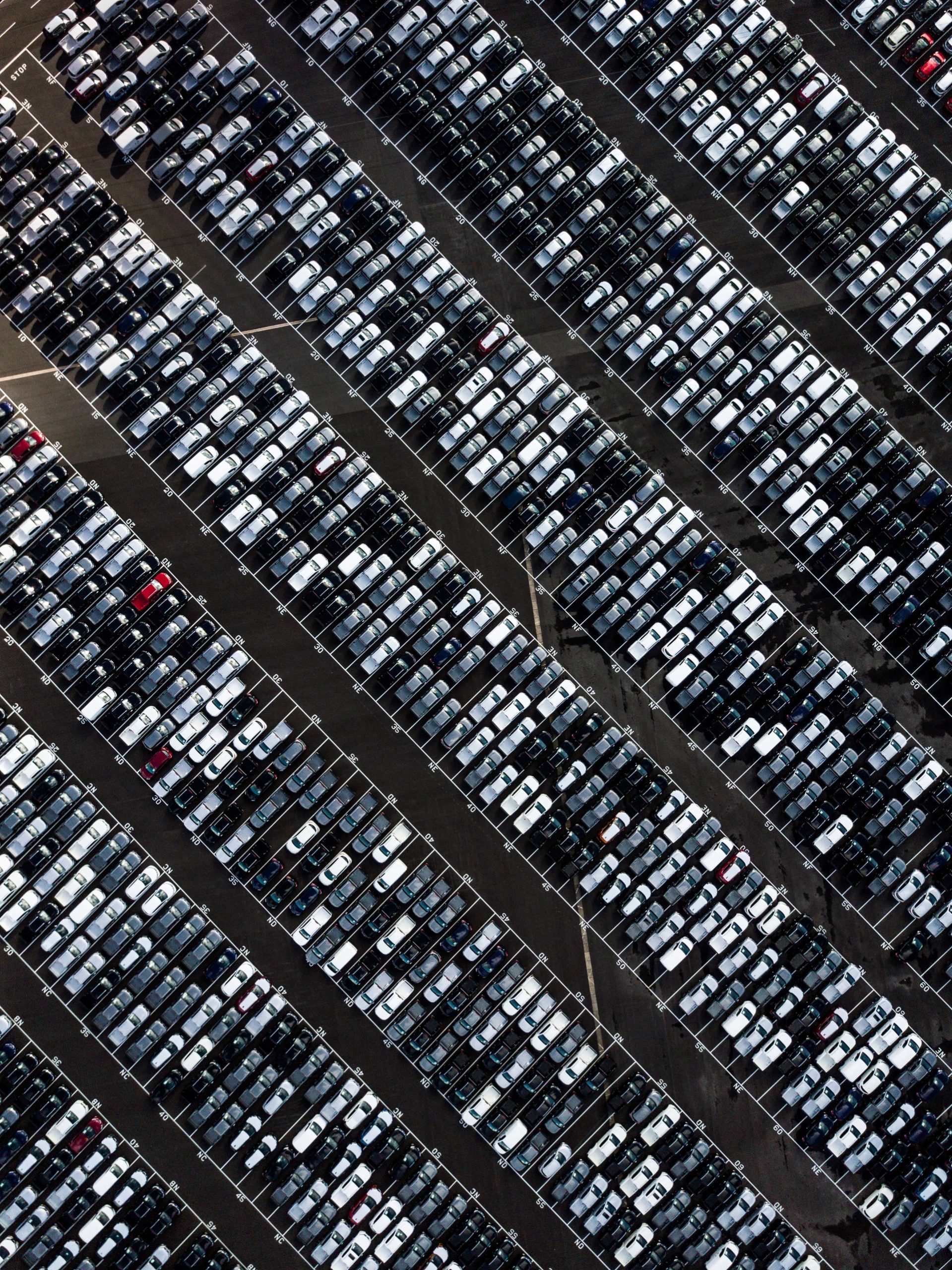 How To Start an Auto Auction Business